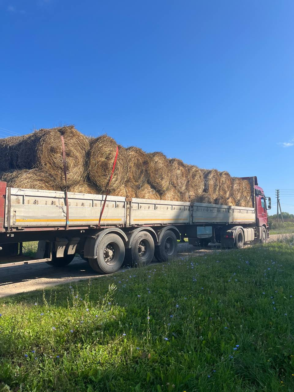 2025_konezavod_medvedki_1