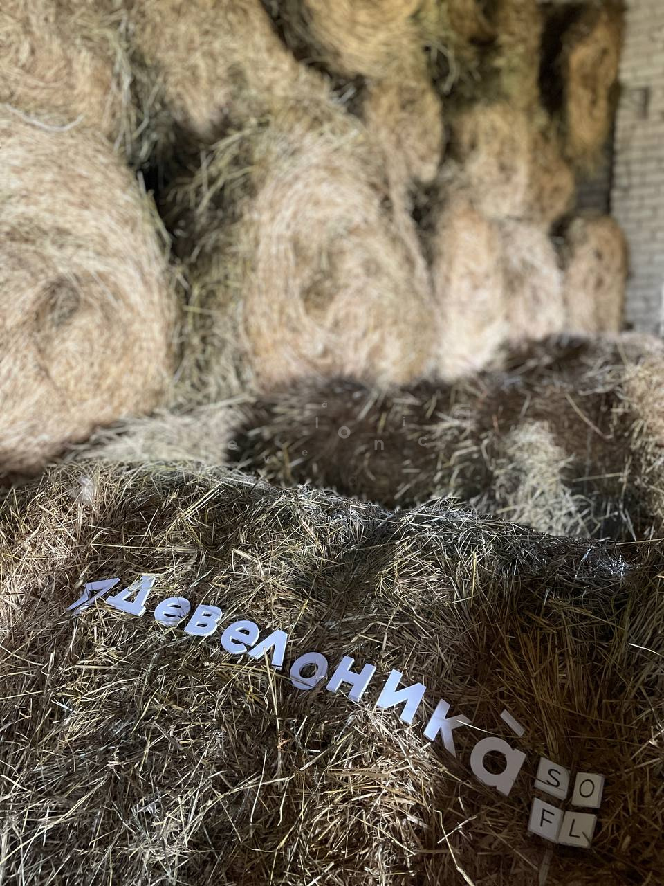 2025_konezavod_medvedki_9